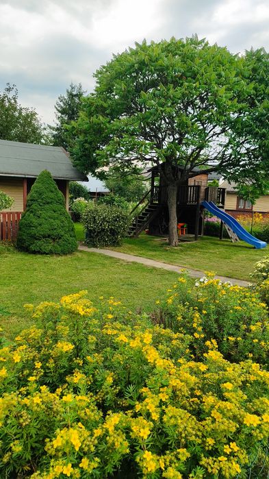 Działka Rod 27 lipca - Widok 3
