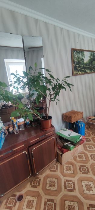 Продается уютный дом в Мешково-Погорелово