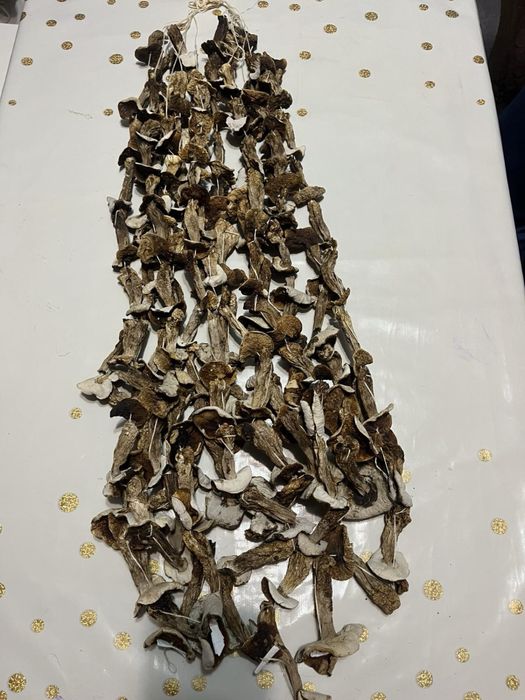 Продаються білі сушені гриби