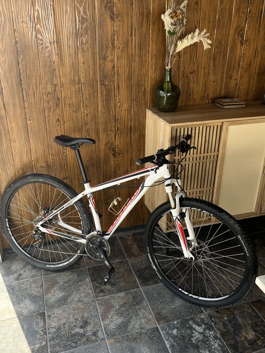 Specialized Roda 29