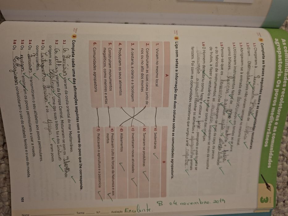 Novo HGP 5 - Manual e Caderno