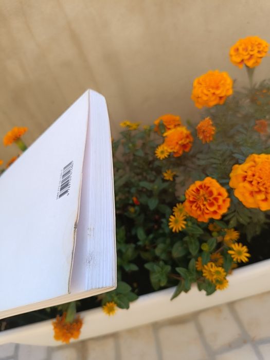 Visto do Céu - Alice Sebold