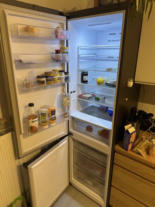 Lodówka zamrażarka Samsung RB38C602DSA/EF
