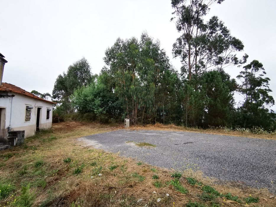 Moradia para Reconstrução em Terreno 782 m² | Colmeias - Memória (Leiria) | 35.000 €