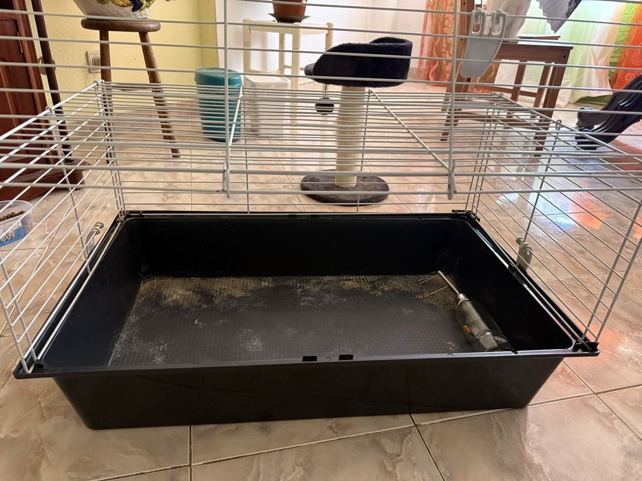 Gaiola Roedor + Ração + Feno + Absorvente