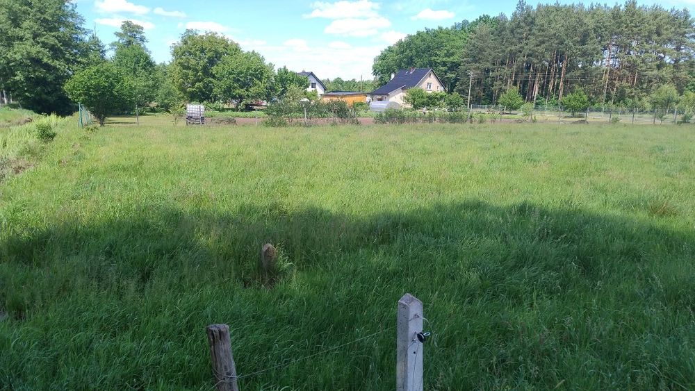 Działka budowlana w okolicy lasów