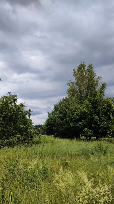 Продам земельну ділянку