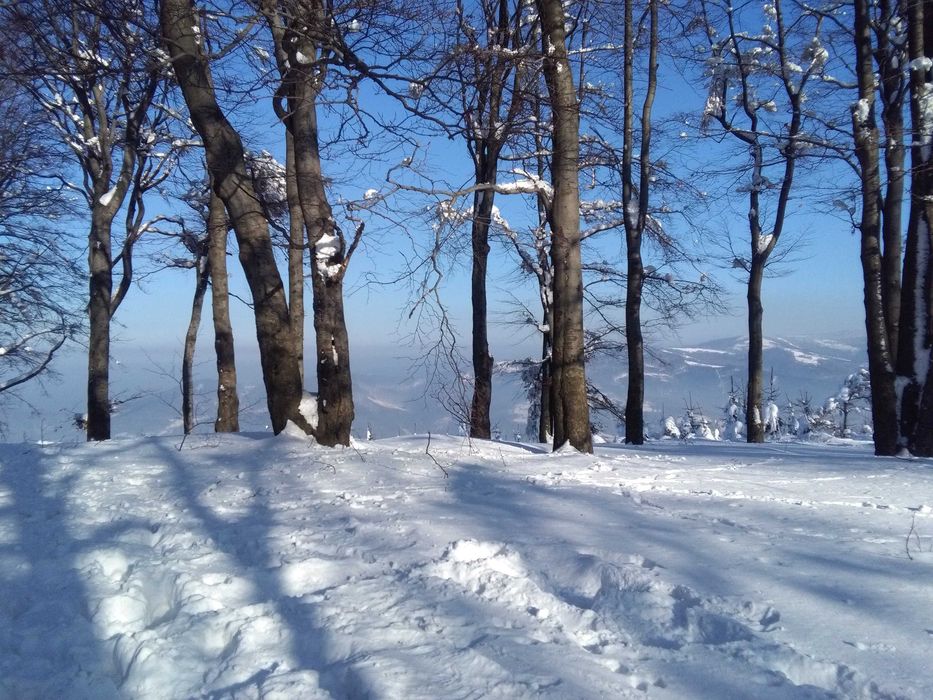 Ferie dla rodziny z dziećmi. Pokoje w górach: Ustroń, Wisła NAJTANIEJ