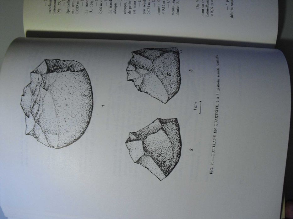 Roche (Abbé Jean);Le Gisement Mésolitique de Moita de Sebastião;