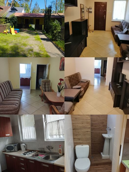 Wynajem domków letniskowych