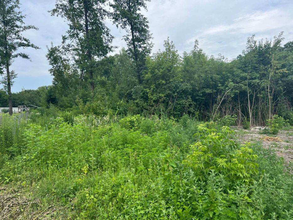 Вишенки участок 25 соток с выходом в лес