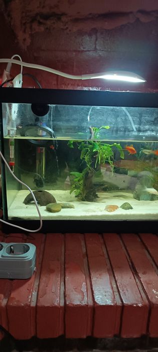 Aquário de água quente toda equipada