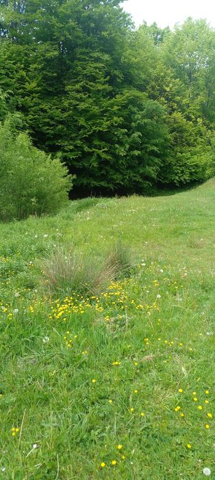 продам земельну ділянку в мальовничому Закарпатті