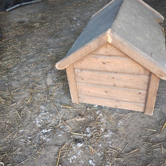 Sprzedam Buda dla psa