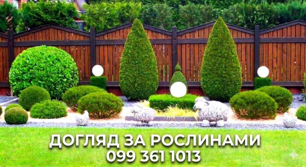 Стрижка туй, обрізка дерев, догляд за рослинами, покіс трави