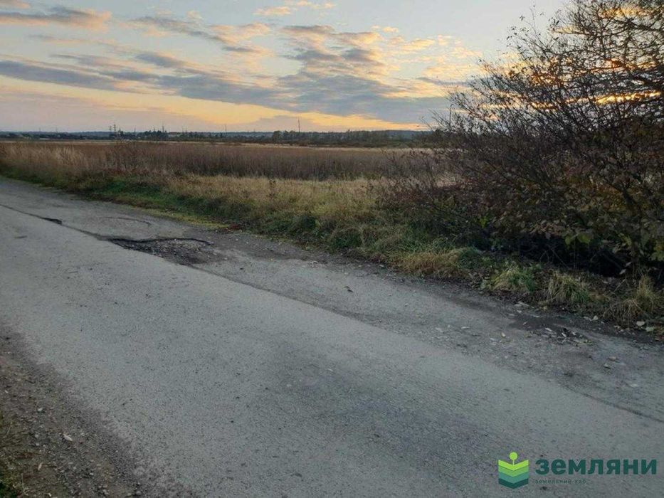Продається земля 77,63 сот під ОСГ, с. Ямниця (5)