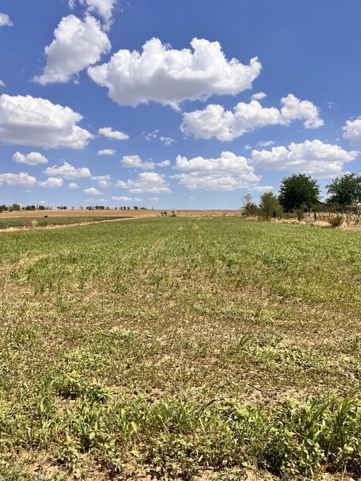 Домик под одессой , идеально для ведения хозяйства.