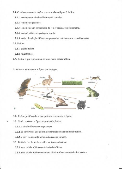 Material de apoio à disciplina de Ciências Naturais para o 8º ano