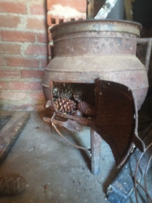 Salamandra antiga