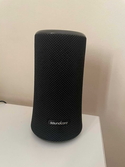 SoundCore Flare 2