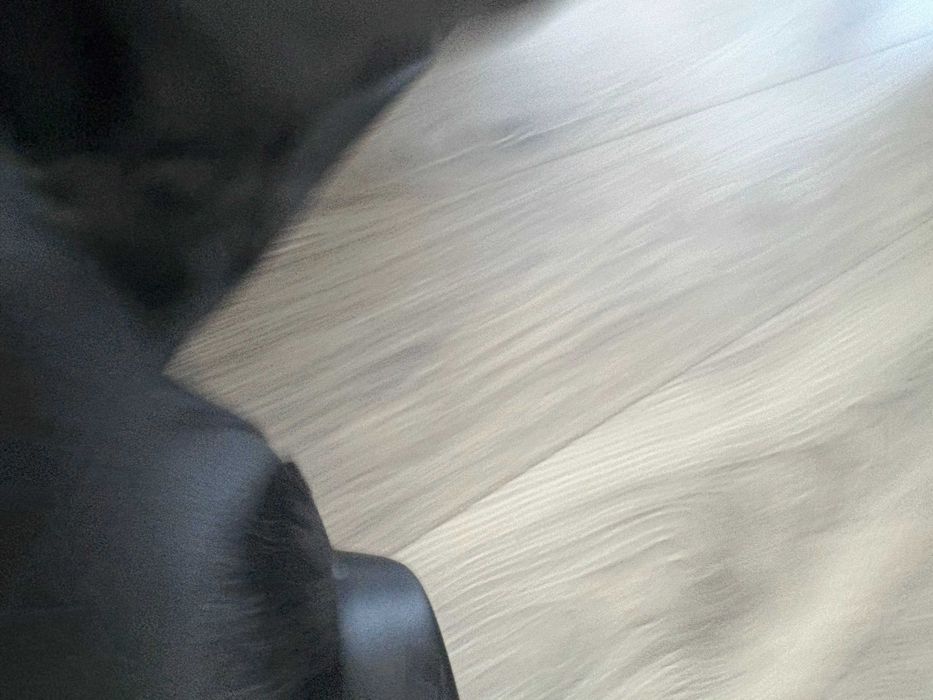 Calças Dainese com proteções e forro 54