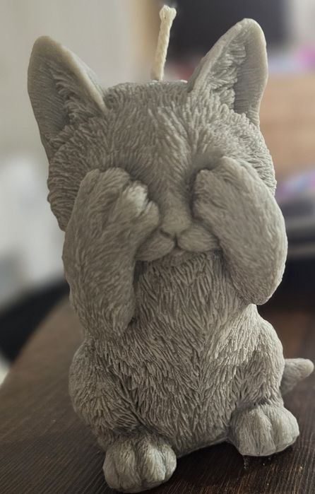 Kot świeca sojowa + serce mydło na walentynki