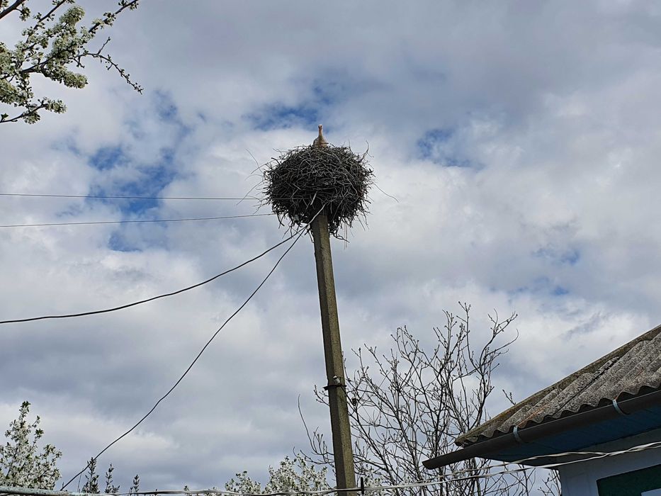 Продам будинок Сокиряни (с.Волошкове, біля р.Дністер)