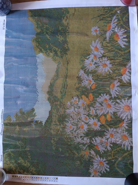 Алмазна вишивка .