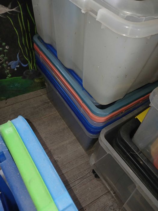 Caixas de plástico arrumação