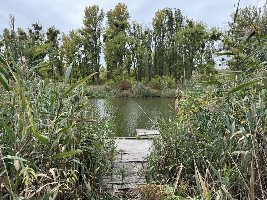 Райська дача з власним виходом до річки біля Чехівки!