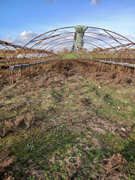 Konstrukcje tuneli foliowych