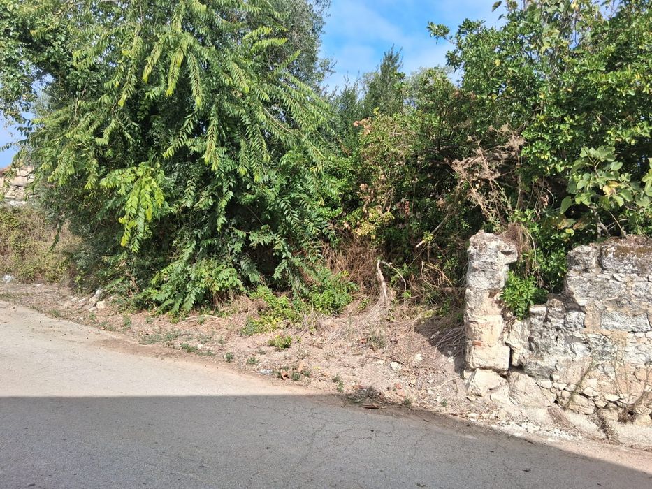 Casa de campo em ruína com terreno