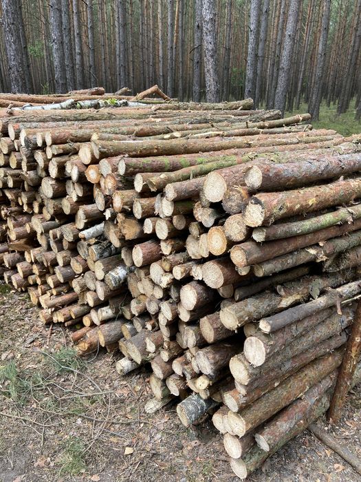Drewno opałowe/kominkowe suche
