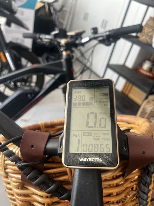 Bicicleta elétrica Wayscral Everyway E200