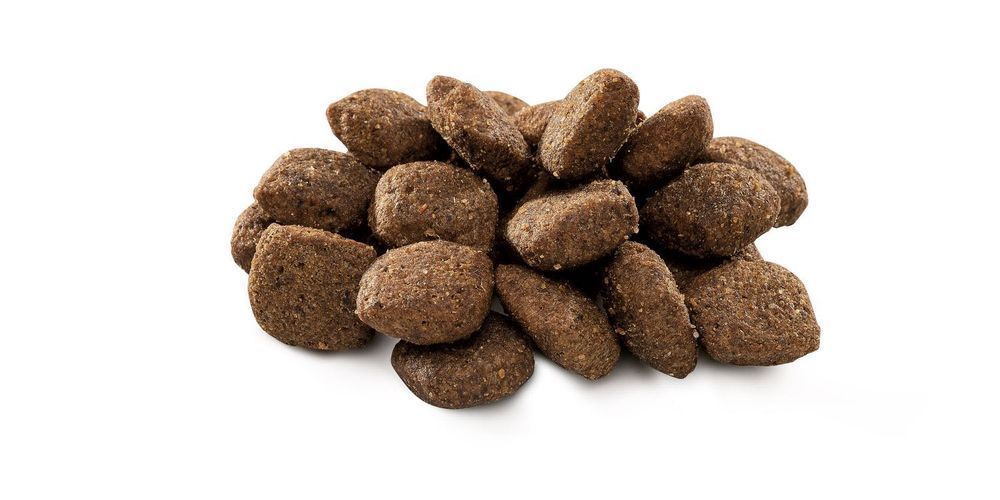 15кг Brit Premium Dog Sensitive Lamb з ягням Сухий корм для собак х