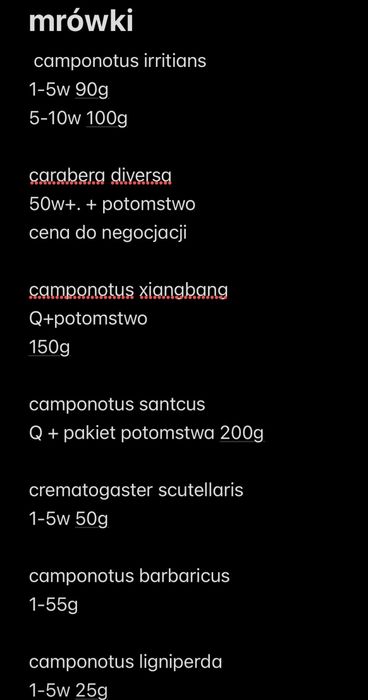 mrówki/isopody/ptaszniki