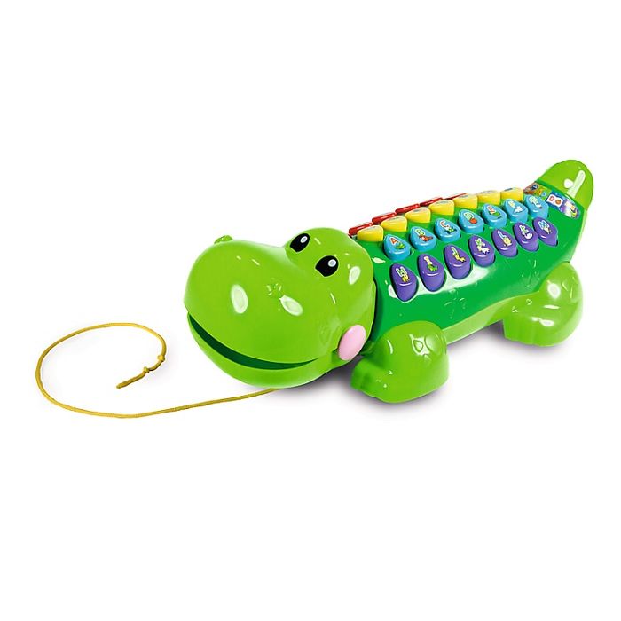 Oto Aligator Edukator