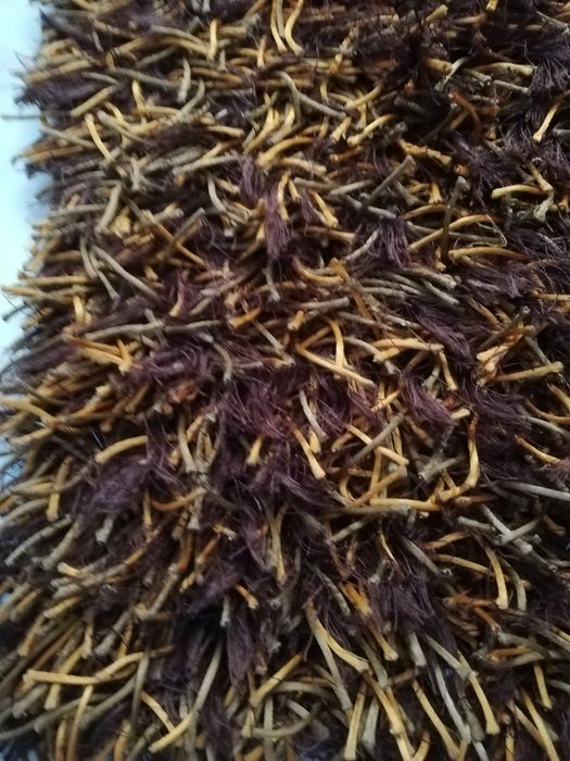 Conjunto de tapetes felpudos