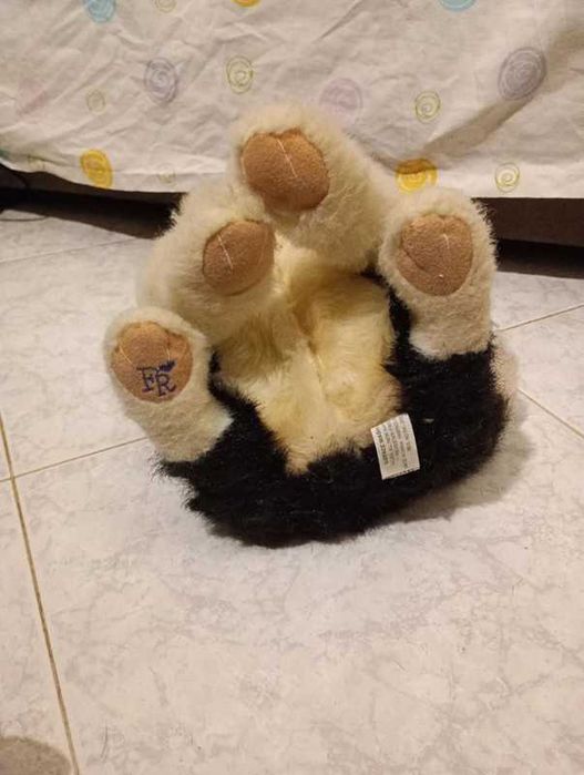 Husky peluche cão