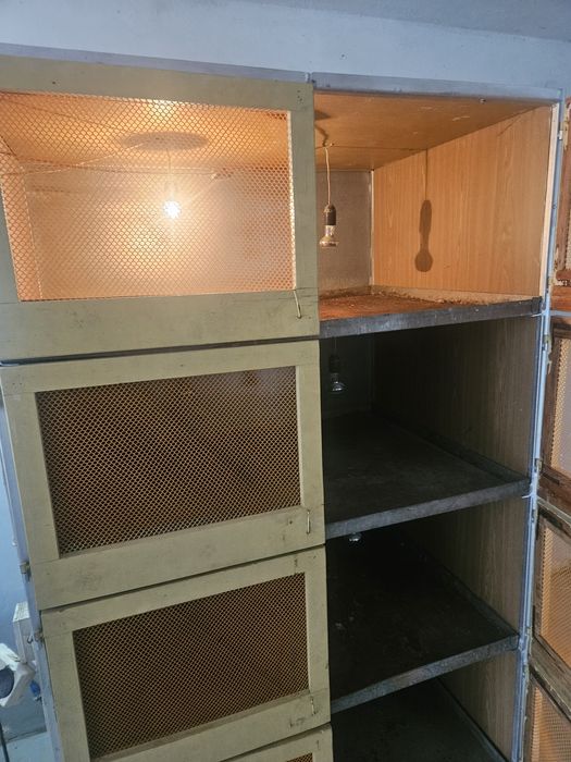 Klatki do odchowu piskląt