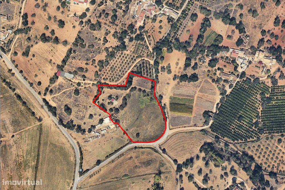 Propriedade Rústica com Ruína e Árvores de Fruto no Vale Formoso – Tav