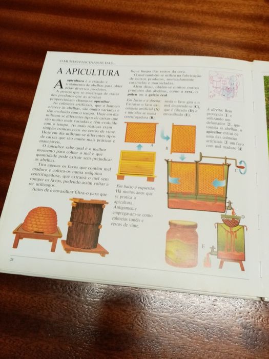 Apicultura - O Mundo Fascinante das Abelhas