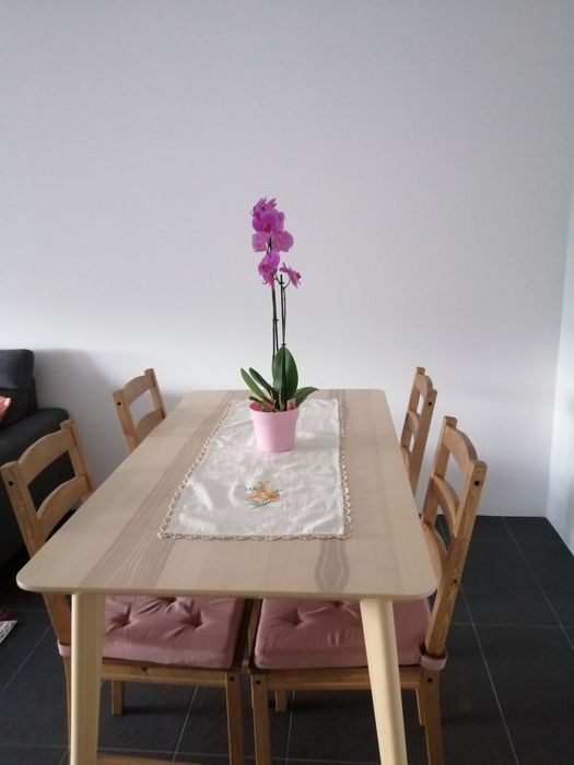 4 Cadeiras IKEA Jokkmokk em madeira