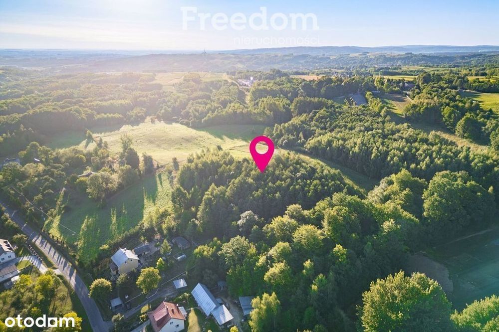 Działka z własnym lasem (43 ar),blisko sanktuarium