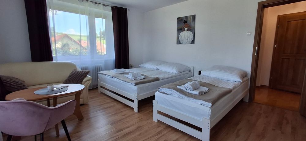 Dom pod Śnieżnikiem Apartament 2-7 os