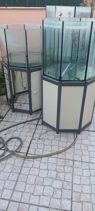 Expositor/Cascata de Peixes