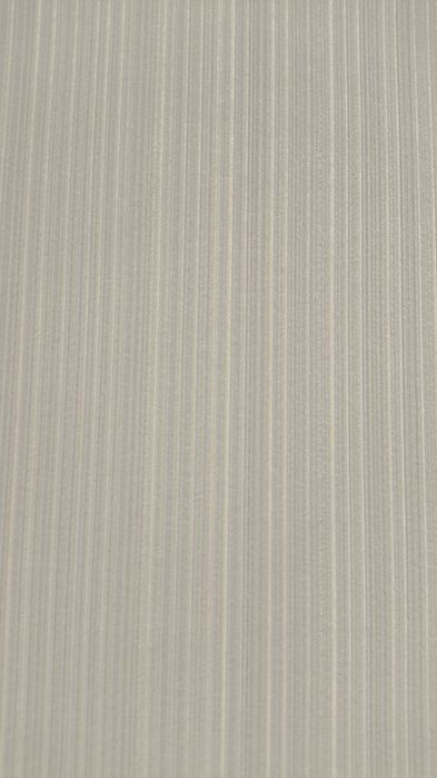 Шпалери вінілові на флізеліновій основі PROfhome PH205P85, PH205P80