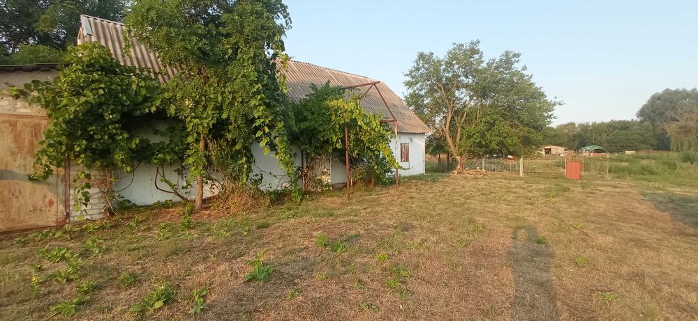 Продам будинок в с.Хацьки