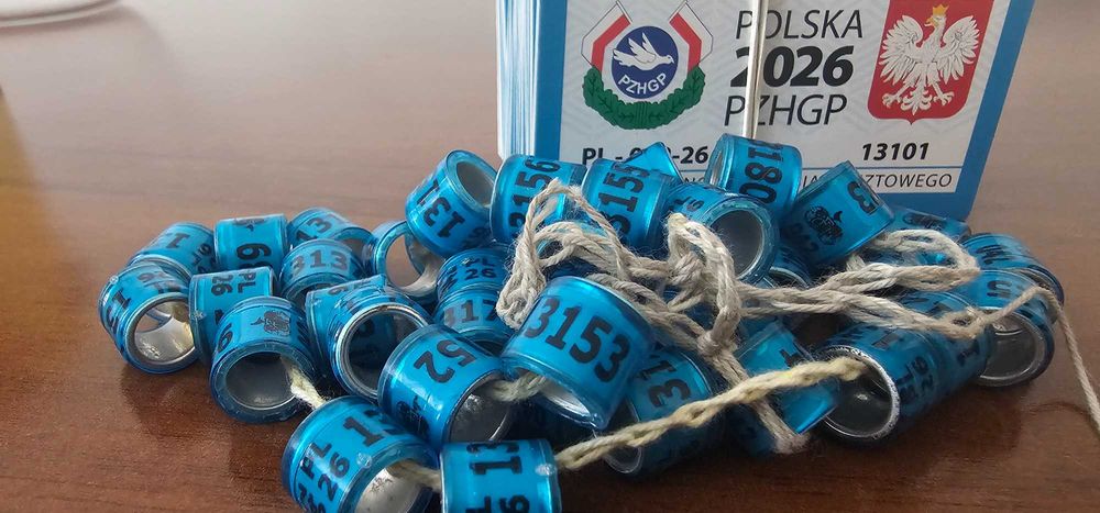 obrączki dla gołębi pocztowych 2026
