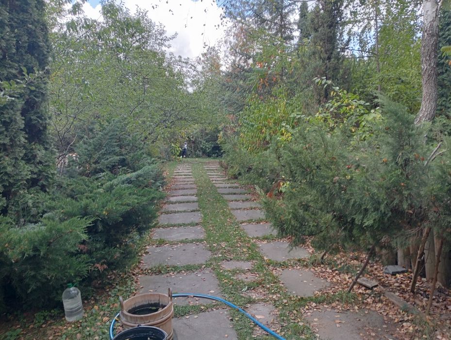 Оренда подобово заміський будинок зі зрубу баня